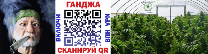 Конопля THC 21%  магазин  наркотиков  Купино 